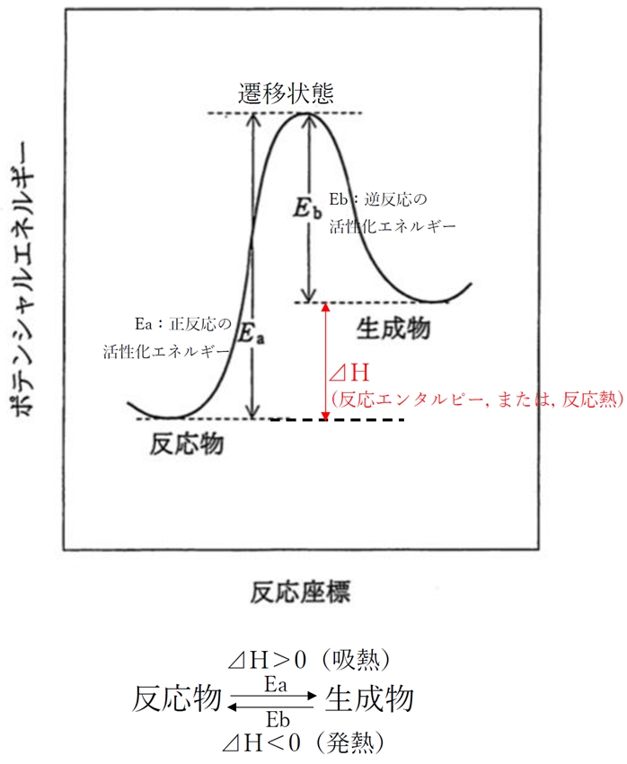可逆反応のポテンシャルエネルギー曲面 95回薬剤師国家試験問22
